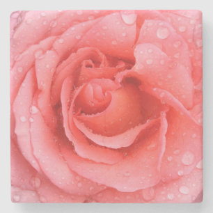 Romantische rote rosa Rosen-Wassertropfen Steinuntersetzer