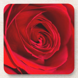 Romantische rote Rose in voller Blüte Untersetzer