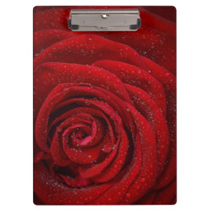 Romantische Rote Rose Klemmbrett