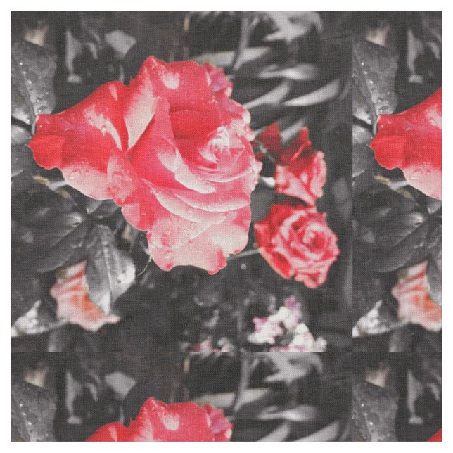 Romantische Rote Rosen Stoff (Nahaufnahme)
