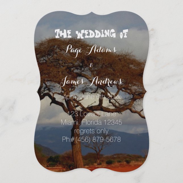 Romantische Safari Africa Bridal Weddingprogramme Programm (Vorderseite)