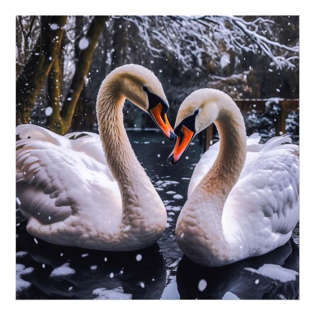 Romantische Schwäne im Winterwunderland Fotodruck (Vorne)