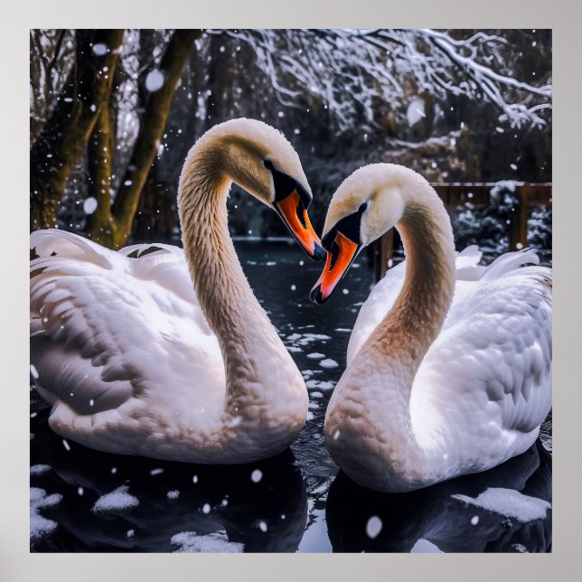 Romantische Schwäne im Winterwunderland Poster (Vorne)