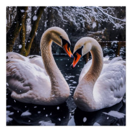 Romantische Schwäne im Winterwunderland Poster