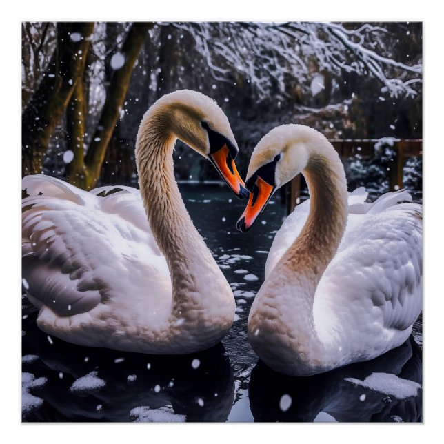 Romantische Schwäne im Winterwunderland Poster (Vorderseite)