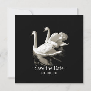 Romantische Schwäne - Save the Date Mitteilung