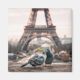 Romantische Stadt Paris Magnet