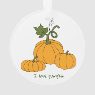 Romantische süße orange Kürbiskose Ornament