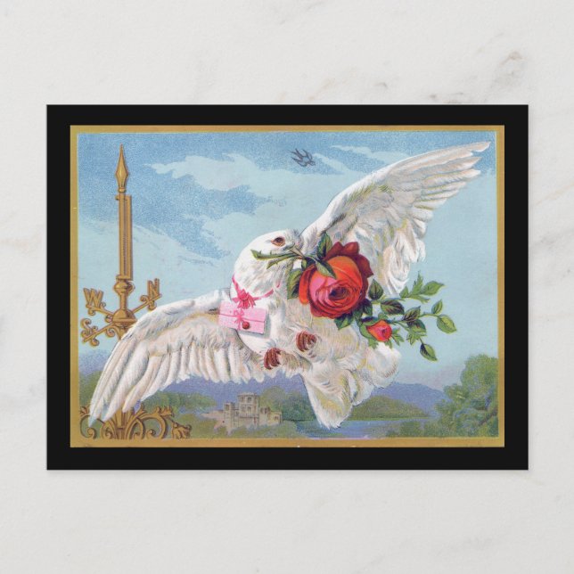 Romantische Taubpostkarte Postkarte (Vorderseite)