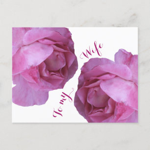 Romantische Valentinische Liebe hübsch rosa Rosen Postkarte