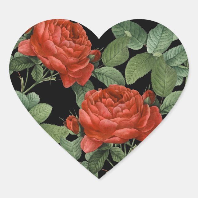 Romantische Vintage Rote Rose Botanische Illustrat Herz-Aufkleber (Vorderseite)