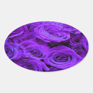 Romantische violette lila Rose, hübscher Rosenbuke Ovaler Aufkleber
