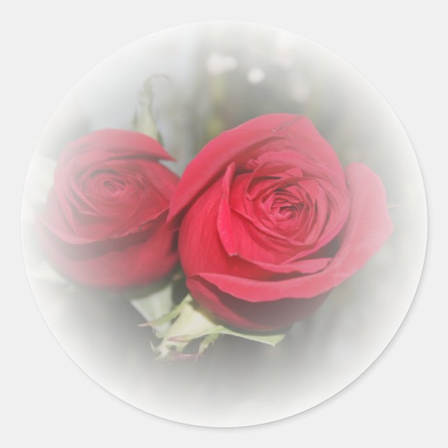 Romantische weiche Rote Rosen Runder Aufkleber (Vorderseite)