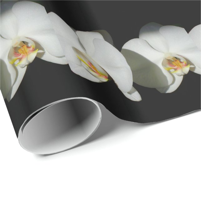 Romantische Weiße Orchideen, tropisches Foto Geschenkpapier (Rolleneckpunkt)