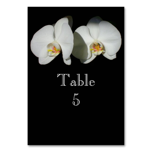 Romantische Weiße Orchideen, tropisches Foto Tischnummer (Vorderseite)