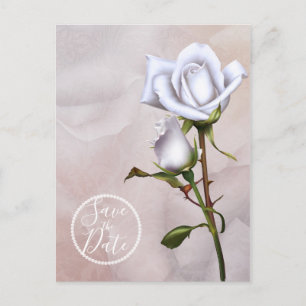 Romantische Weiße Rosen Elegant Save the Date Ankündigungspostkarte