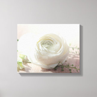 Romantische Weißrose Leinwanddruck