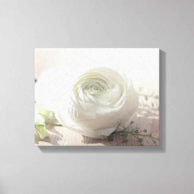 Romantische Weißrose Leinwanddruck (Vorderseite)