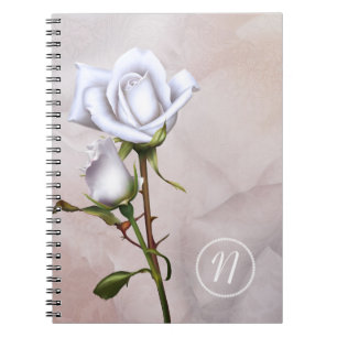 Romantische Weißrosen Elegantes Shabby Chic Notizblock