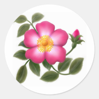 Romantische Wilde Rose Runder Aufkleber