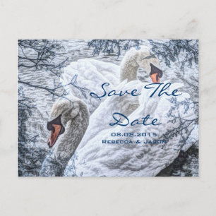 romantische Winterhochzeit See weißer Schwan Ankündigungspostkarte