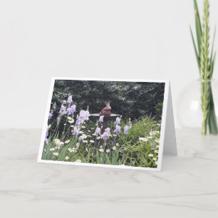 Romantischer Froschprinz und Blume Leere Karte