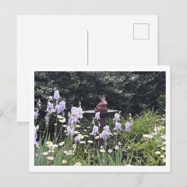 Romantischer Froschprinz und Blume Postkarte (Vorne/Hinten)
