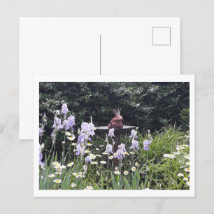 Romantischer Froschprinz und Blumen Postkarte