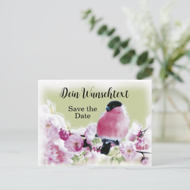 Romantischer Gimpel auf Rosa Kirschblüten Postkarte (Stehend Vorderseite)