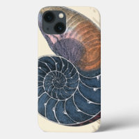 Romantischer Seashell