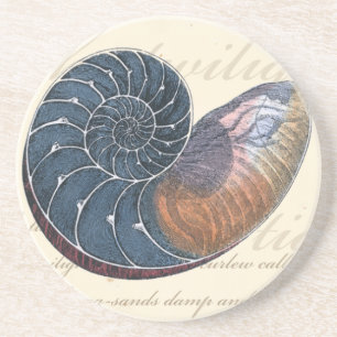 Romantischer Seashell Sandstein Untersetzer