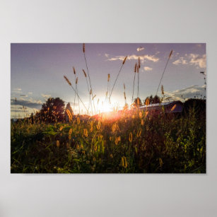 Romantischer Sonnenuntergang auf den Feldern (Graz Poster