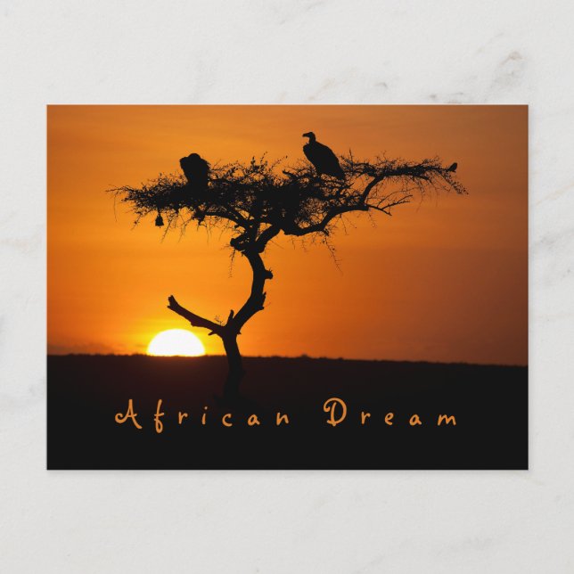 Romantisches Afrikanisches Traumabend Foto mit Tex Postkarte (Vorderseite)