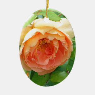Romantisches elegantes Orange Rose Foto Keramik Ornament