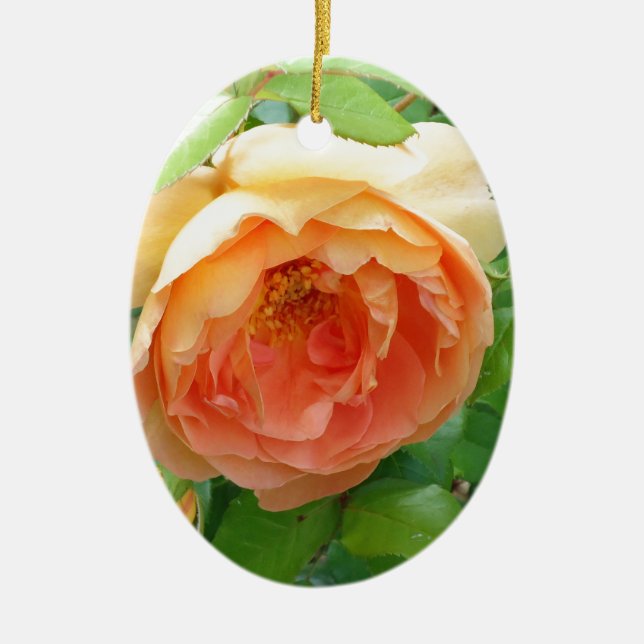 Romantisches elegantes Orange Rose Foto Keramik Ornament (Vorne)