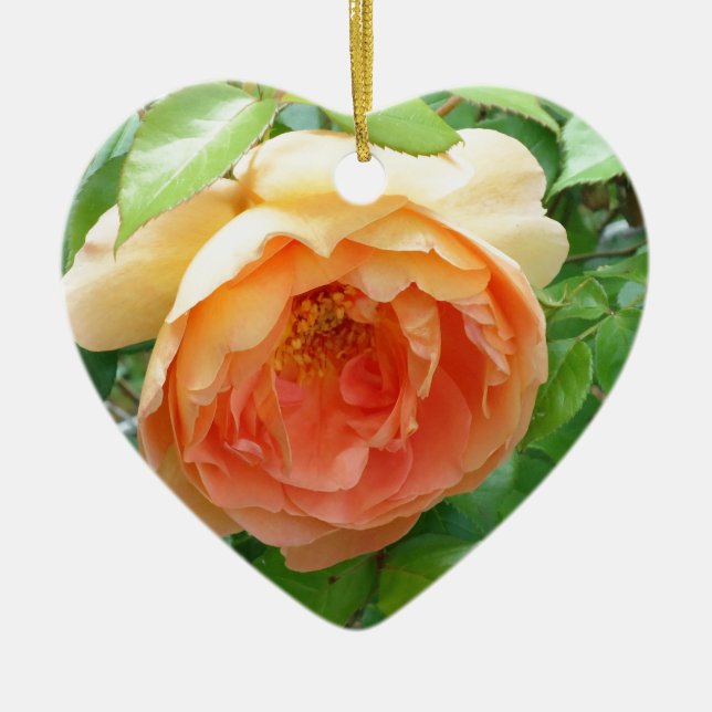 Romantisches elegantes Orange Rose Foto Keramikornament (Vorne)