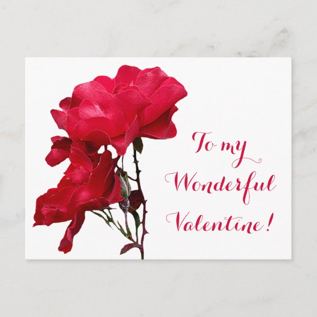 Romantisches Glück Valentine rote Rose Liebe niedl Postkarte (Vorderseite)