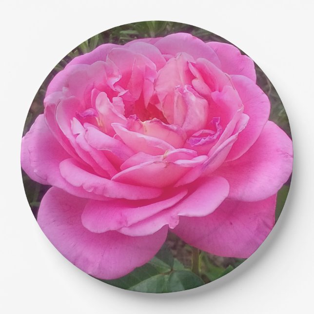 Romantisches Rosa "Leonardo Da Vinci" Pappteller (Vorderseite)