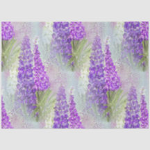 Romantisches Rosa und Lila, florales Lupin