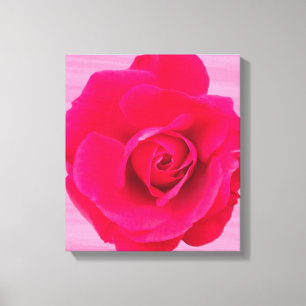 Romantisches Rot Pinke Rose v2 Leinwanddruck
