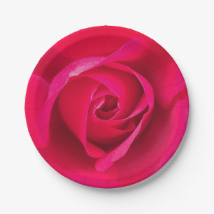 Romantisches Rot Pinke Rose v2 Pappteller