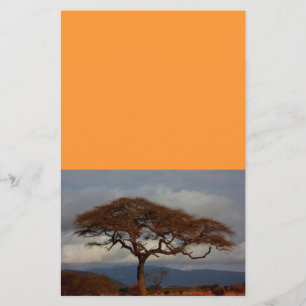 Romantisches Safari Africa Brautparty Custom Peace Briefpapier