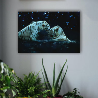 Romantisches Weißes Tiger-Paar unter der Sternenna Leinwanddruck