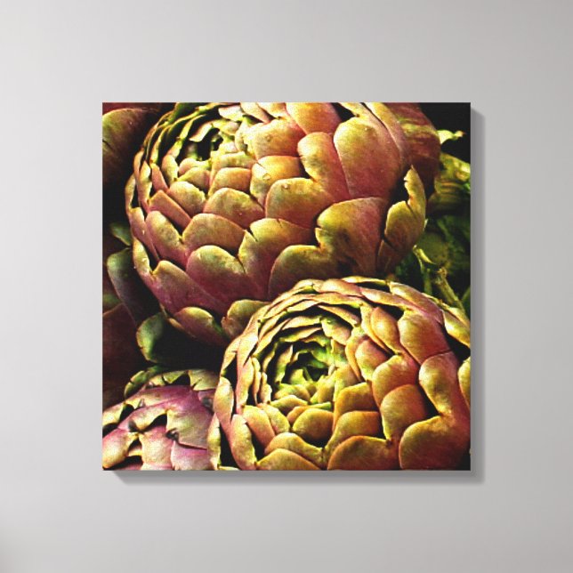 Rome Artichokes Leinwanddruck (Vorderseite)