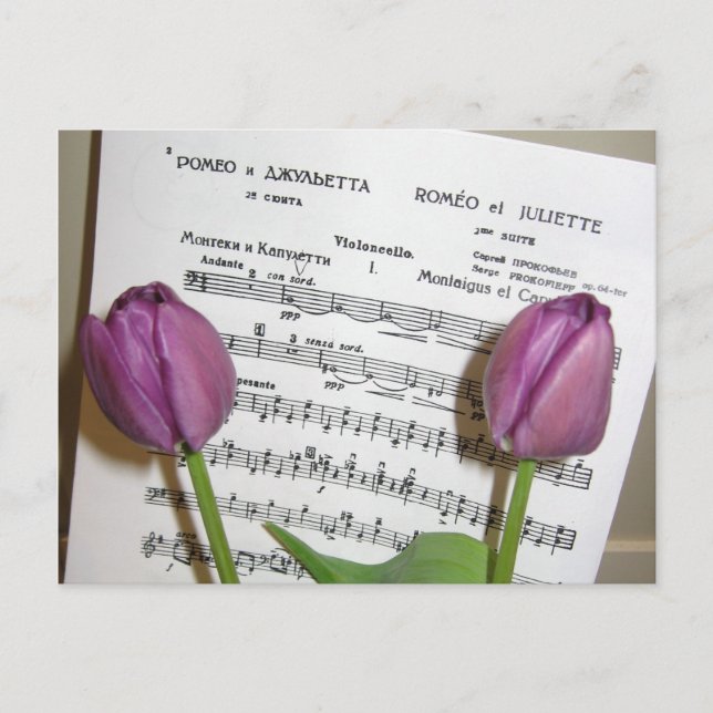 Romeo & Julia Postkarte (Vorderseite)