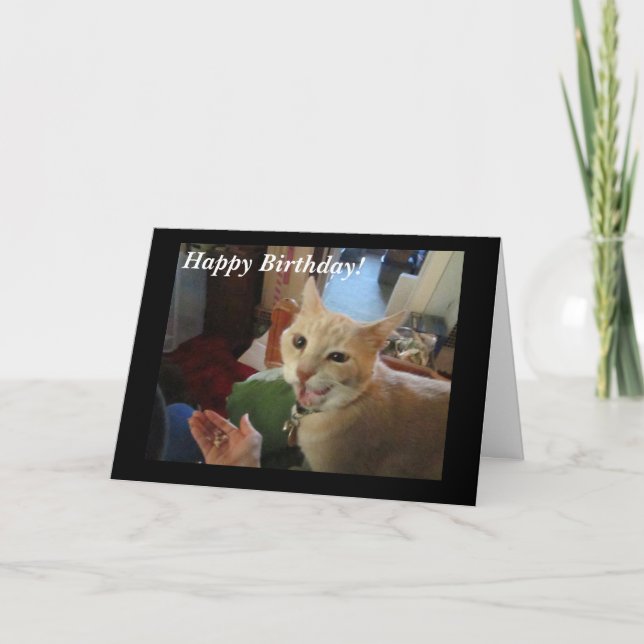 Romeo la carte de joyeux anniversaire de chat (Devant)