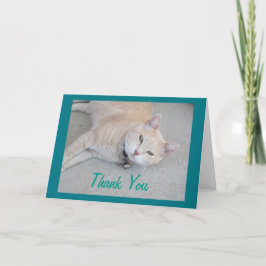 Romeo The Cat Danke, dass Sie die Grußkarte Dankeskarte