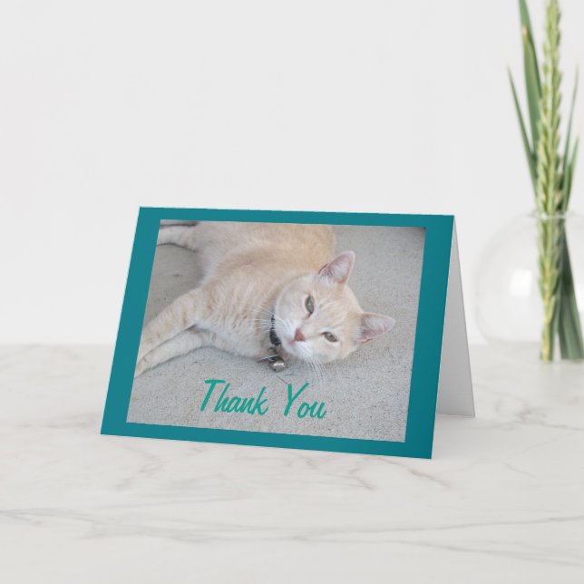 Romeo The Cat Danke, dass Sie die Grußkarte Dankeskarte (Vorderseite)