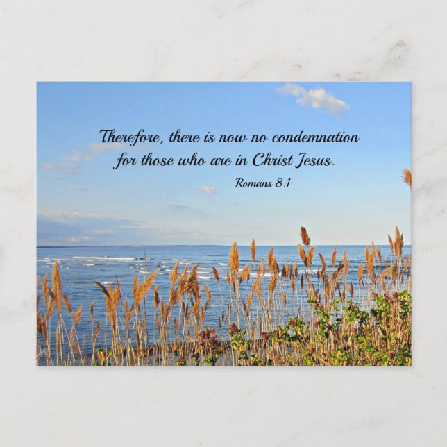 Römer 8:1 Darum gibt es jetzt keine Verurteilung Postkarte (Vorderseite)