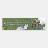 Römer 8:28